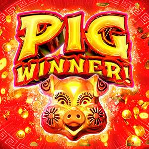 Pig Winner